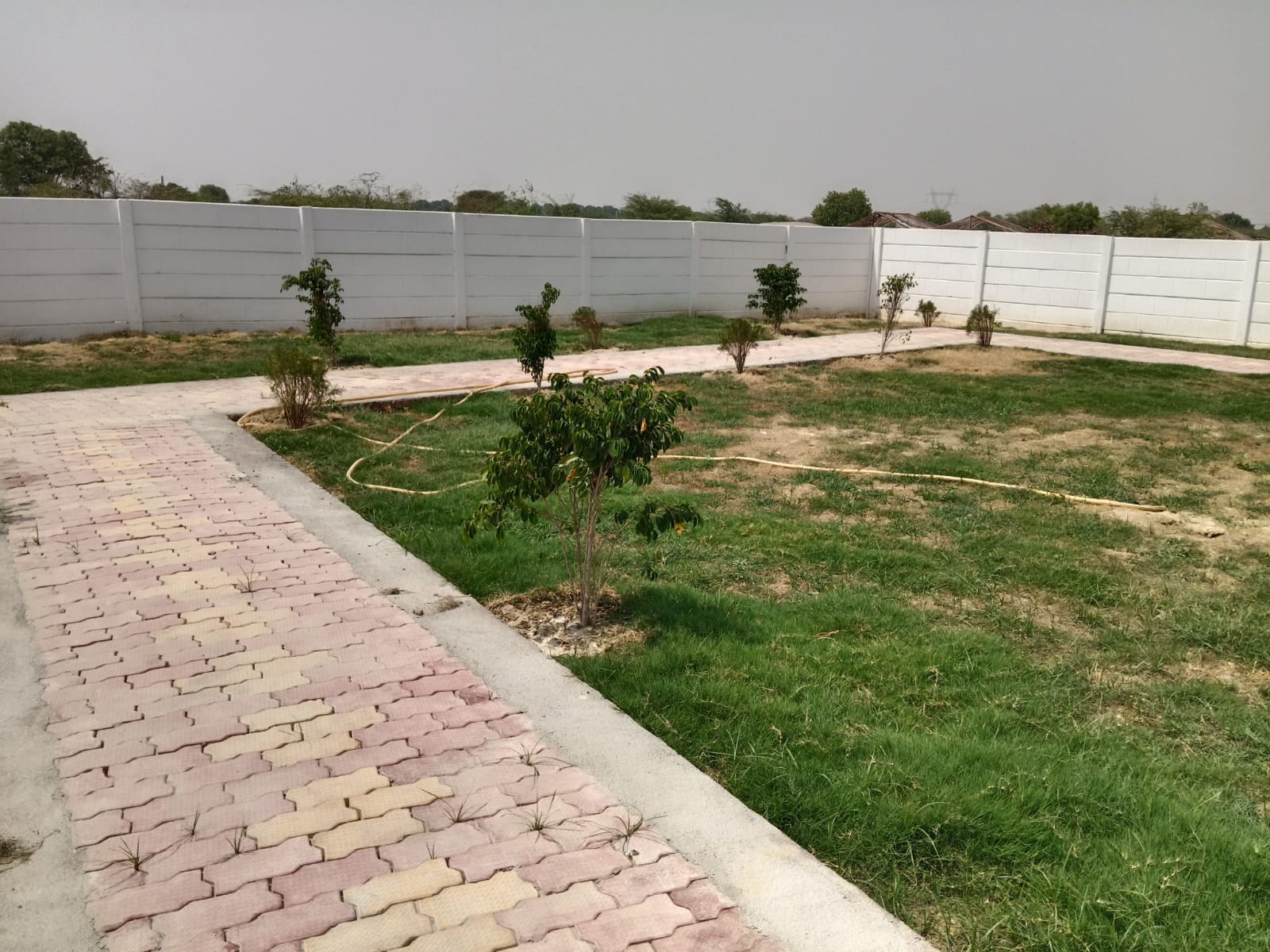 Image Gallery